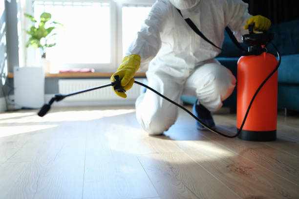 Best Pest Removal Services  in Kinder, LA
