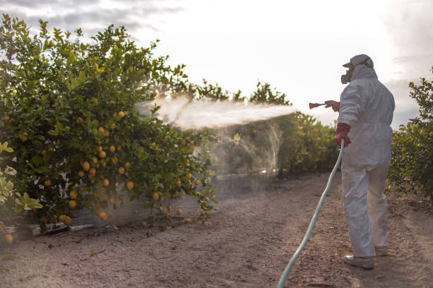 Best Pest Inspection Near Me  in Kinder, LA