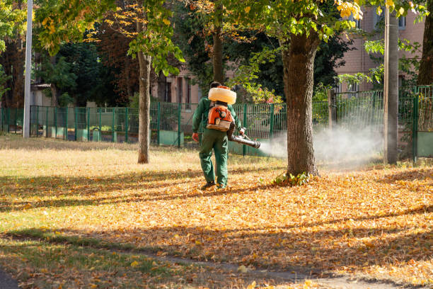 Best Affordable Pest Control Services  in Kinder, LA